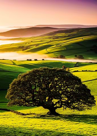 Sunrise Over Rolling Hills