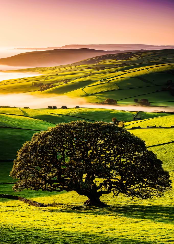 Sunrise Over Rolling Hills