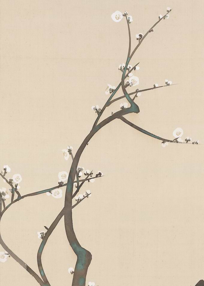Japanese Plum Blossom Branch