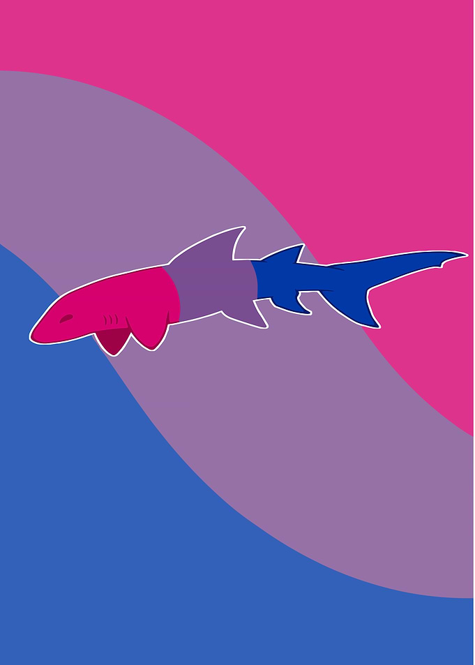 Bisexual Shark
