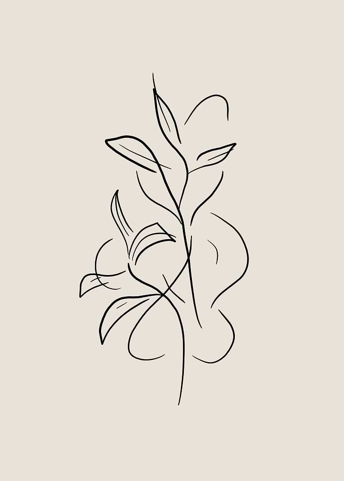 Floral Line Art