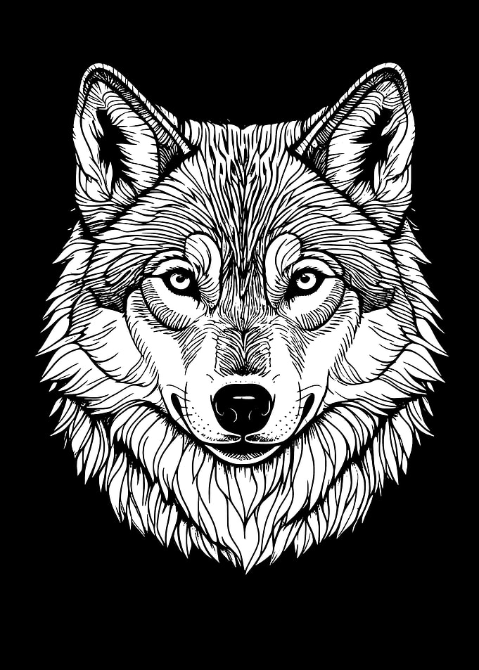 Wolf Head Illustration