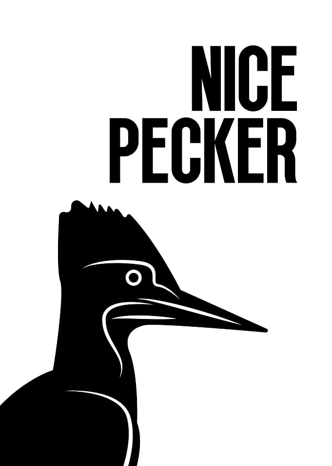 Woodpecker - Nice Pecker