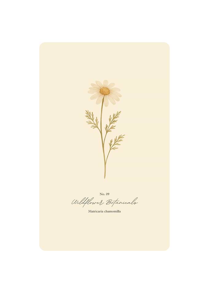 Wildflower Botanical Print