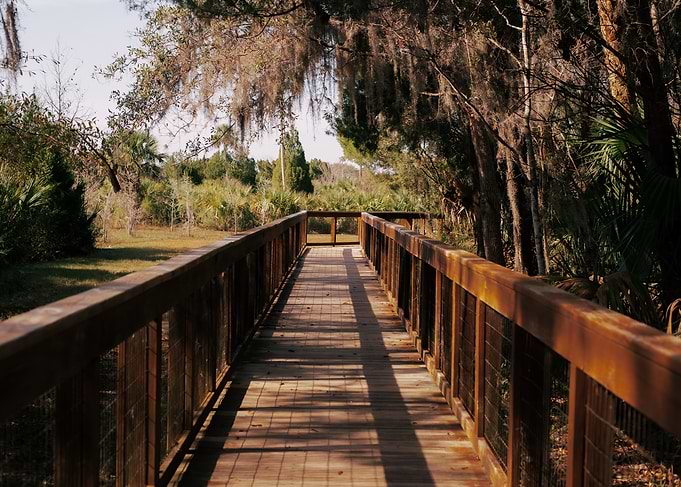 Wooden Walkway