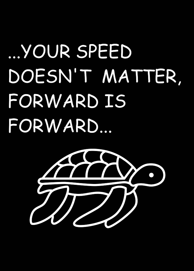 Turtle Motivation Quote
