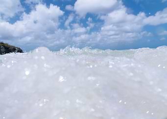 Dive into the Caribbean Sea 1