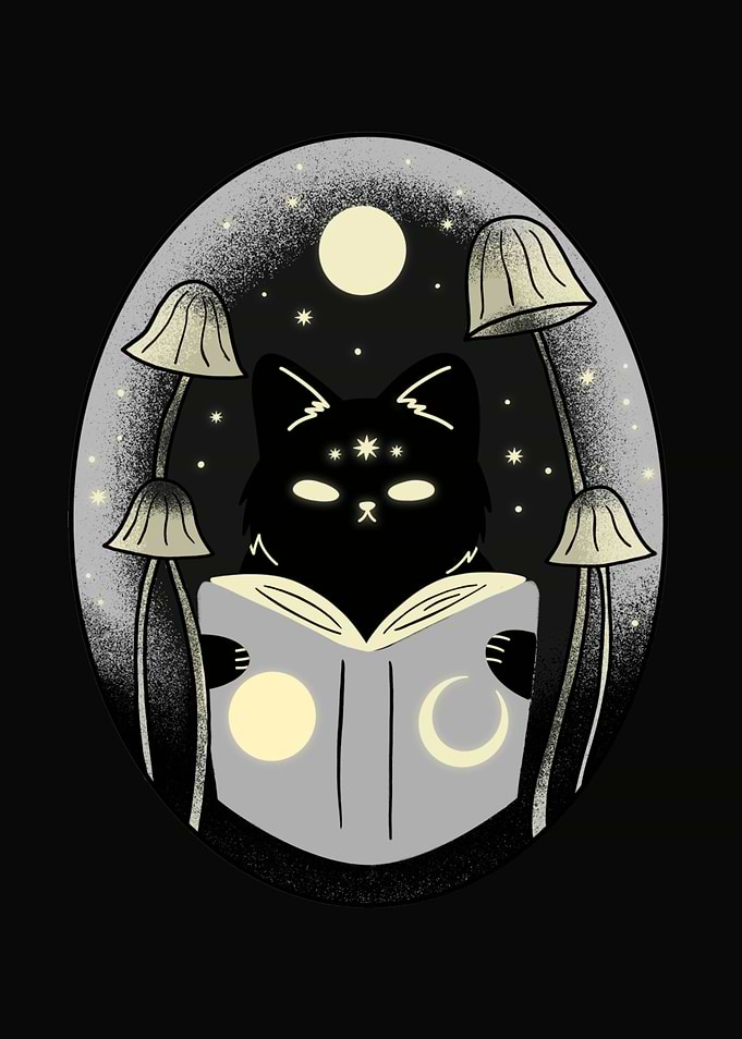 Black Cat Reading Under Stars