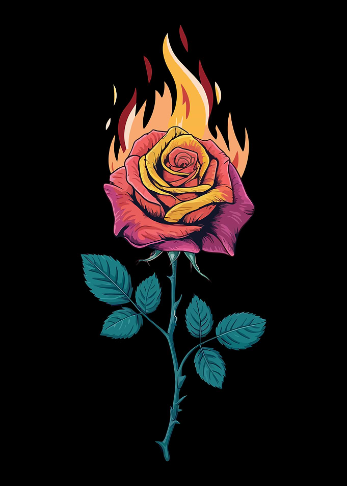 Flaming Rose