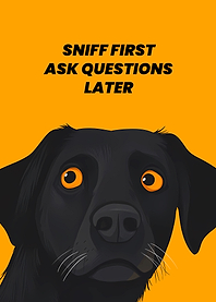 Dog Sniffing