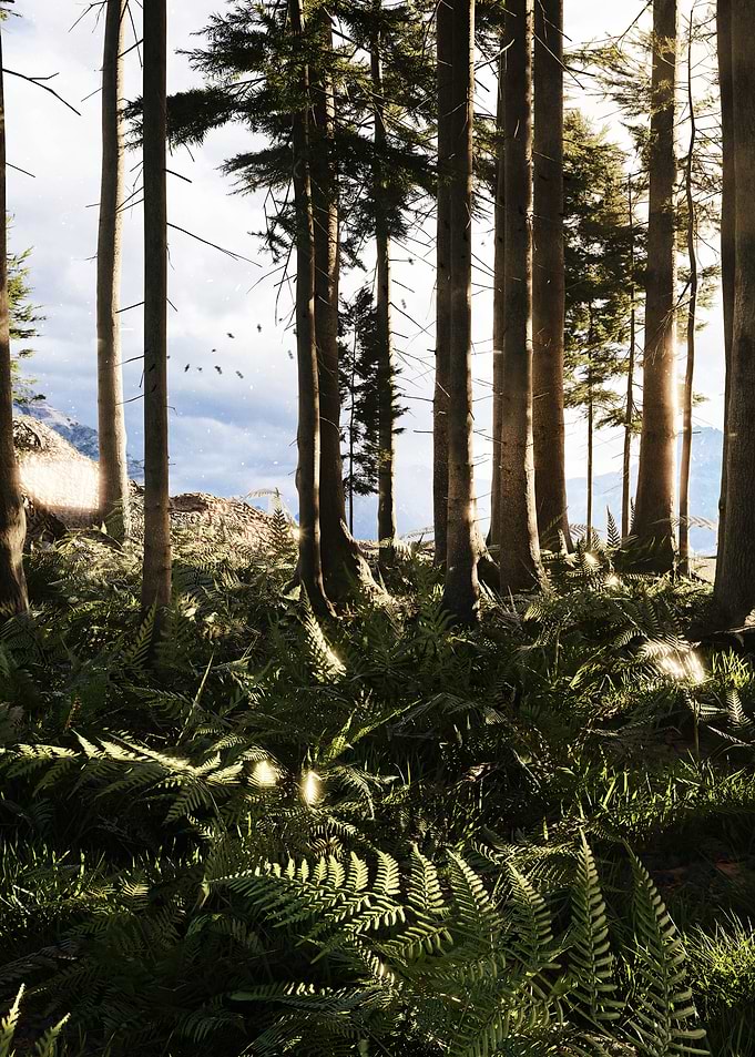 Sunlit Forest Path