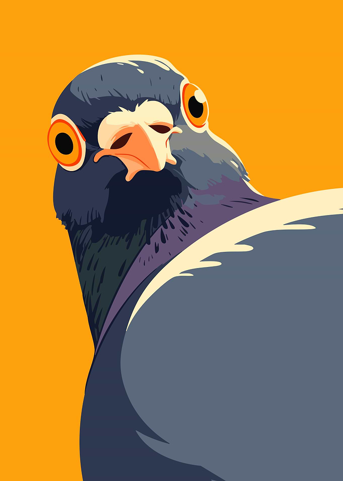 Cute Offended Surprised Pigeon Portrait Minimalist Art Illustration