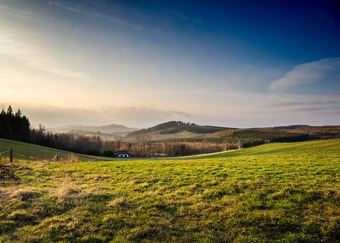 Rolling Hills Landscape