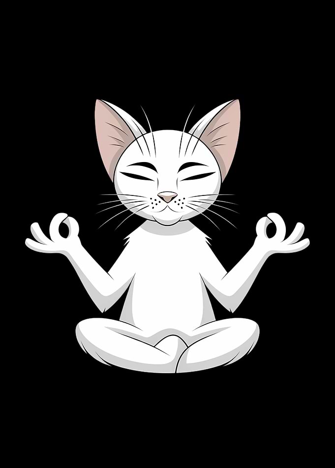 Cat Does Yoga Pilates Cat