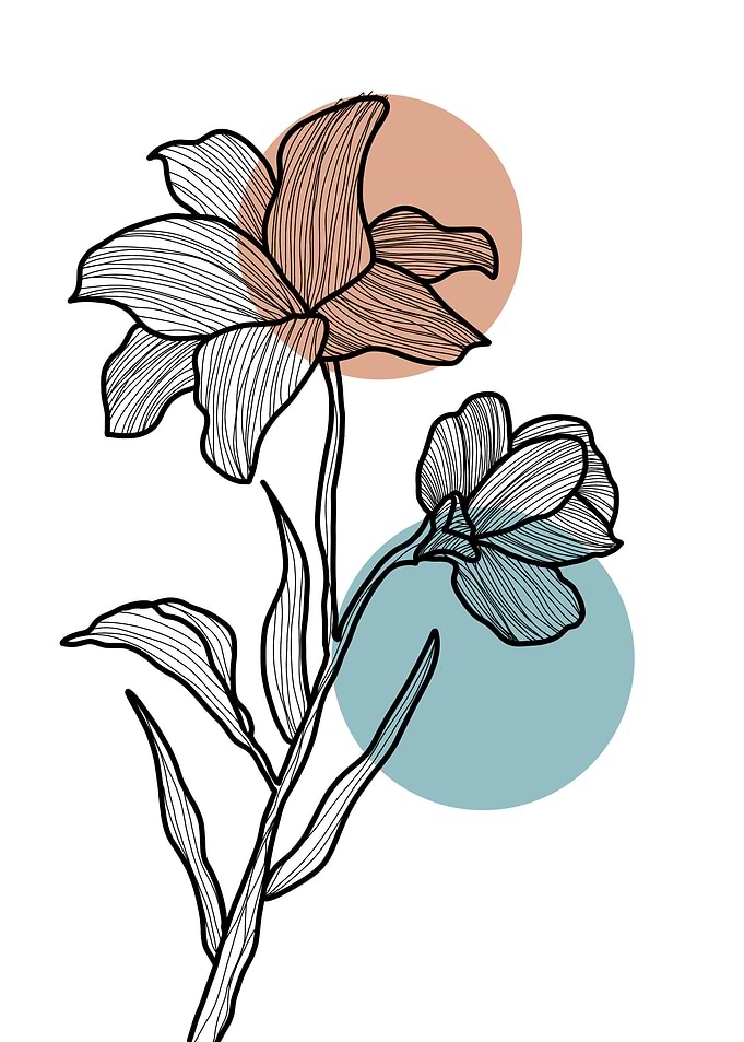 Line Art Flower with Circles