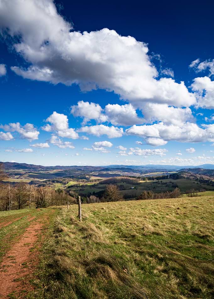 Rolling Hills Landscape