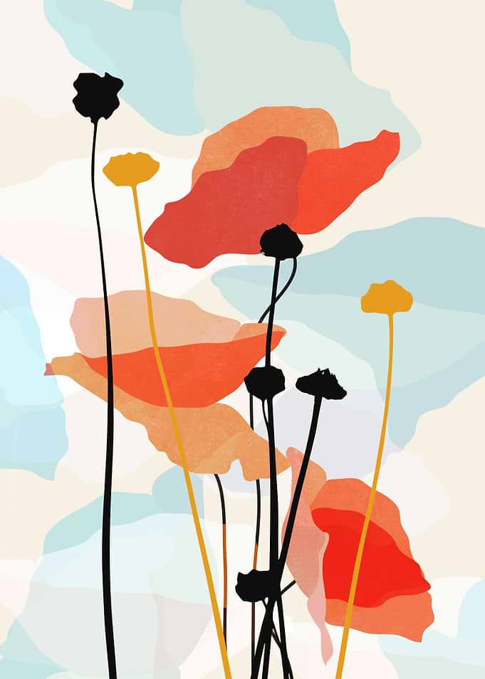 Abstract Poppy Flowers