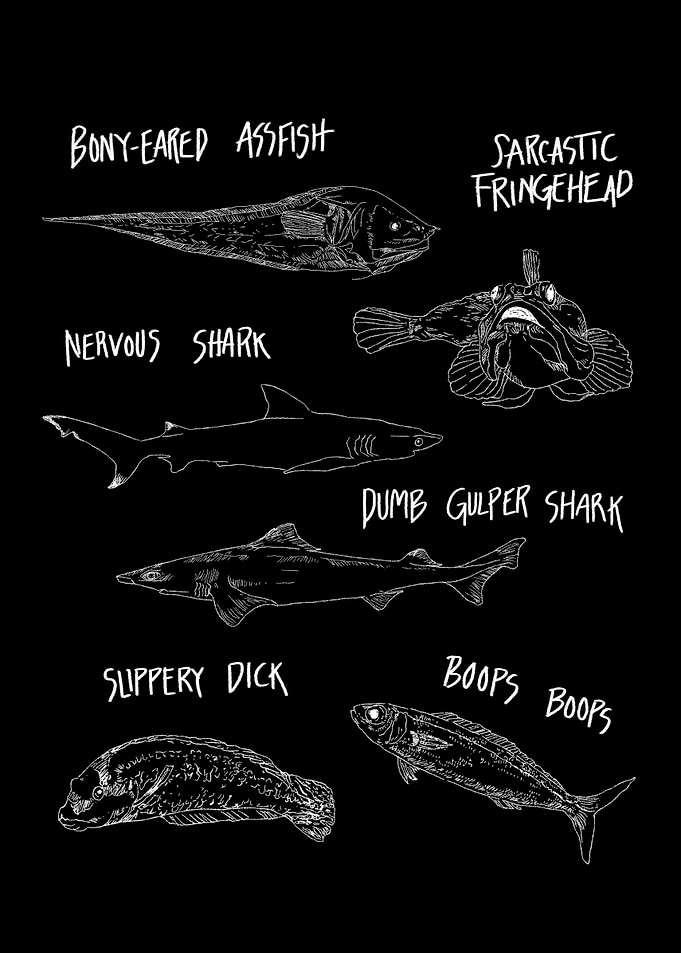 FUNNY FISH