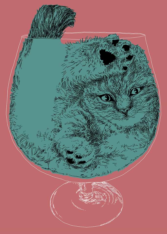 KITTEN COCKTAIL (TEAL)