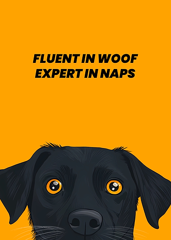 Doggo Napping Expert