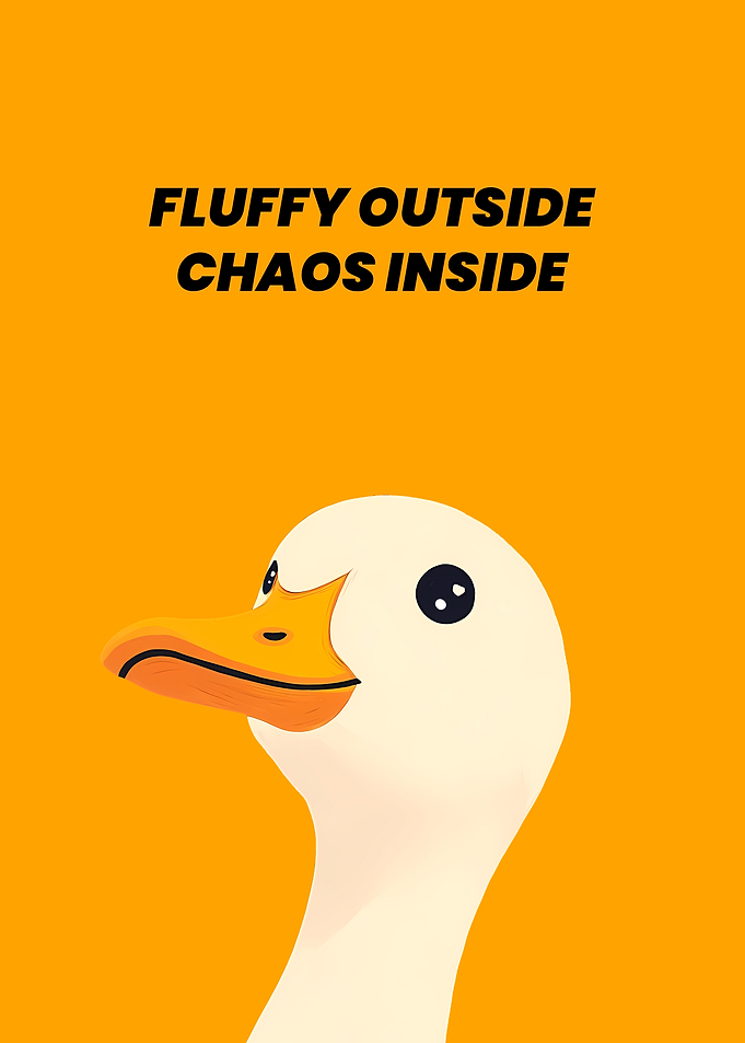 Duck with a Message