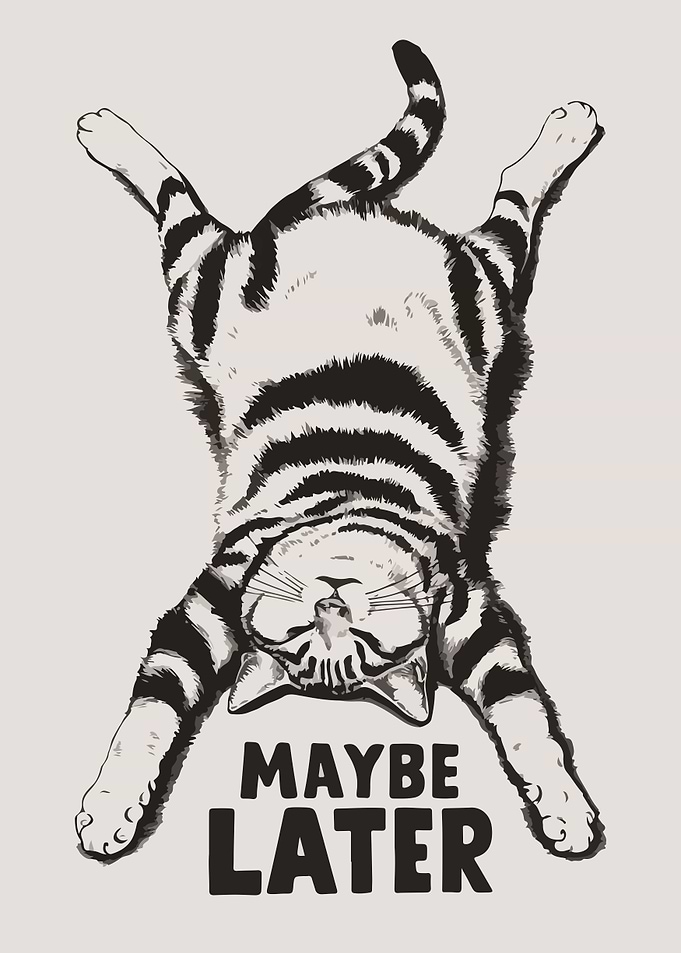 Sleeping Cat Illustration