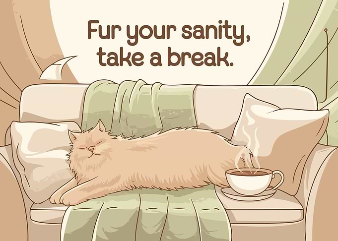 Cat Nap Break