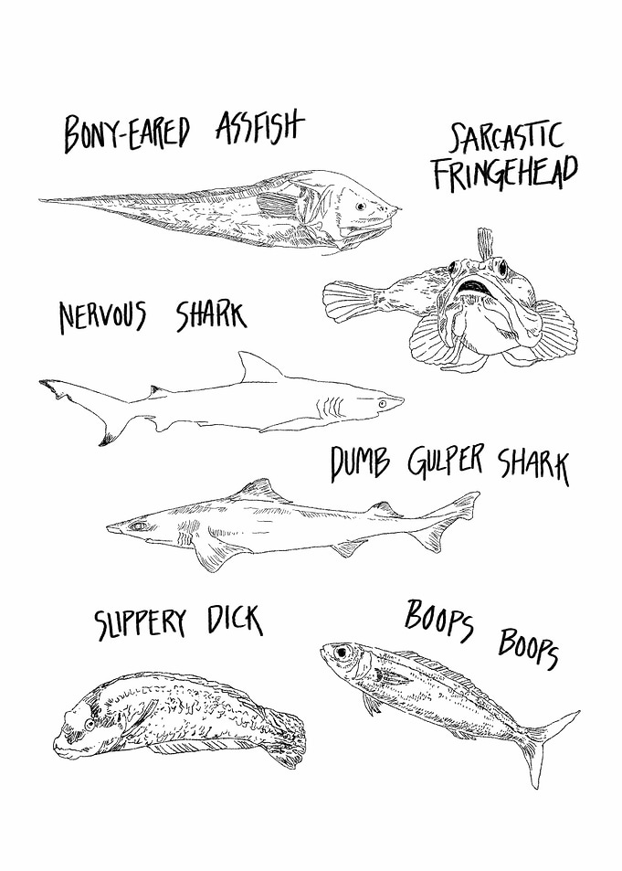 FUNNY FISH