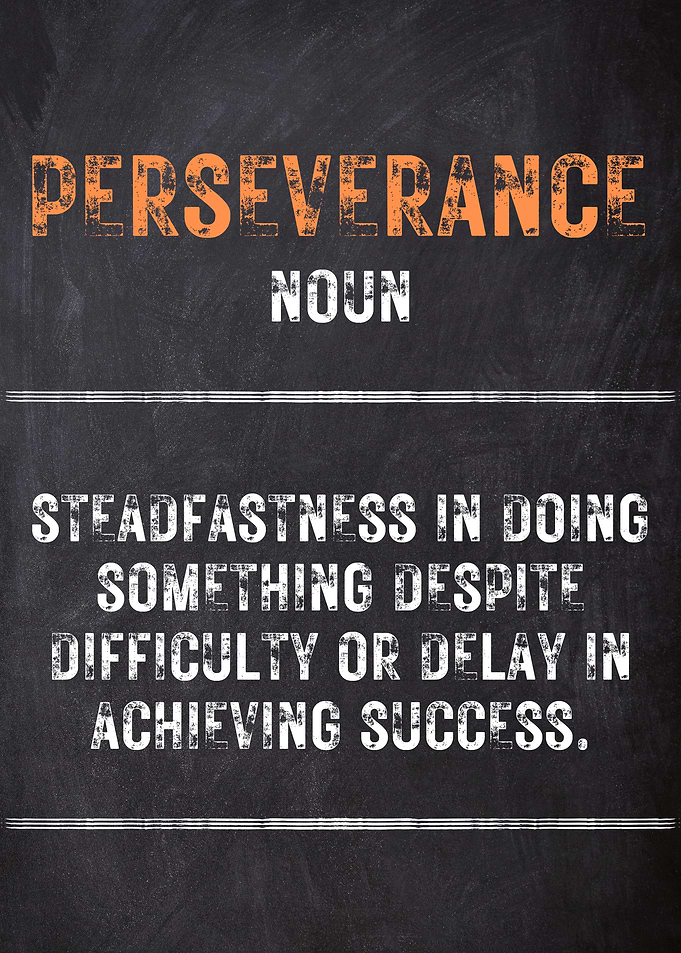 Perseverance Definition
