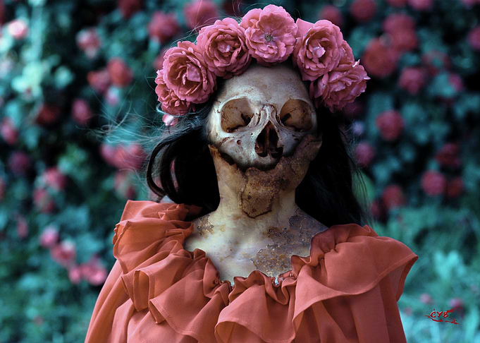 Garden of Bones