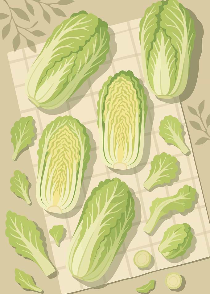 Chinese Cabbage – A Stylized Tablescape