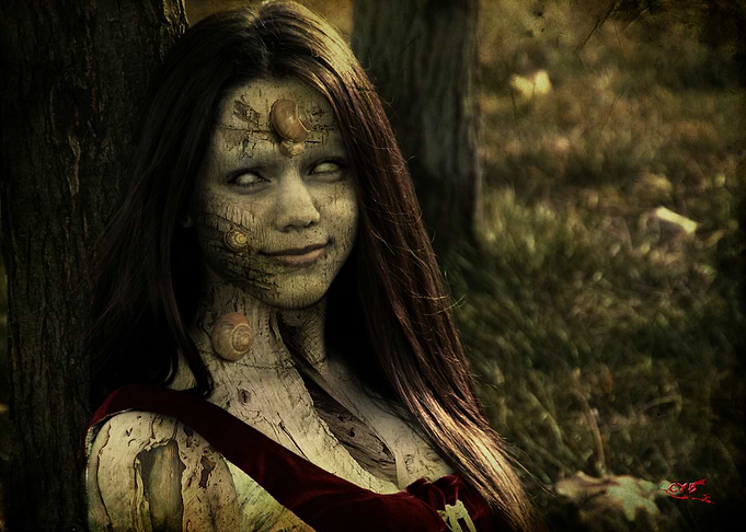 Forest Decay