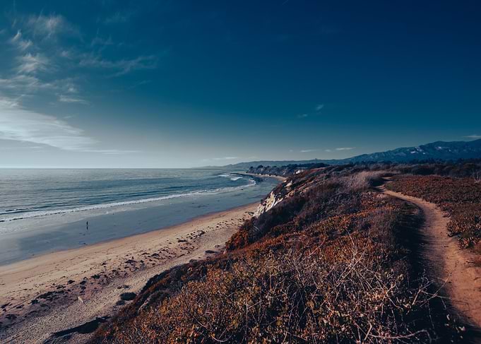 Butterfly Grove Beach