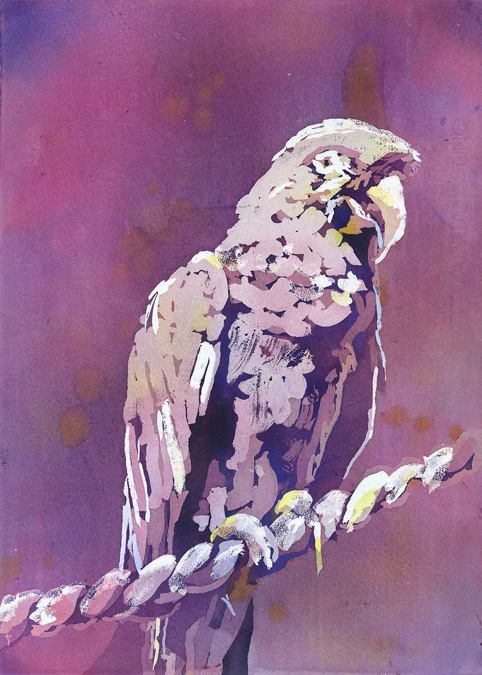 Watercolor Parrot
