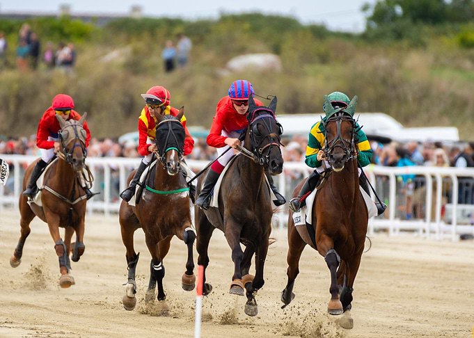 Horse Racing Competition