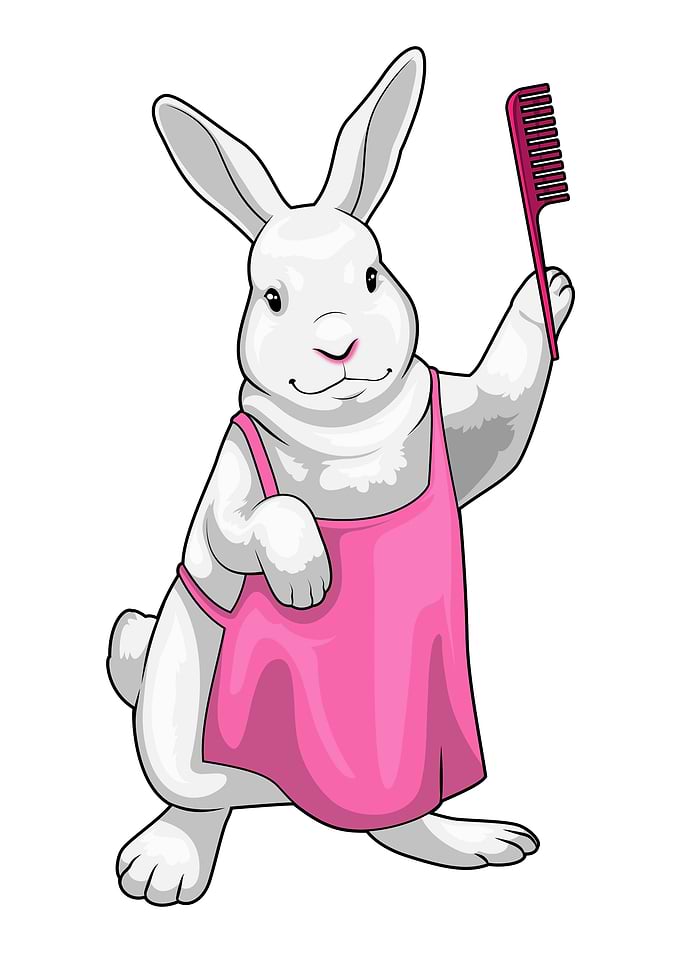 Bunny Hairdresser Comb