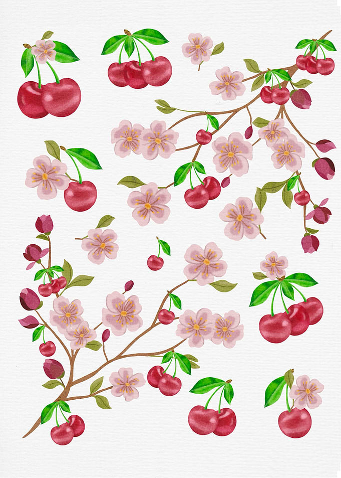Cherry Blossom Watercolor
