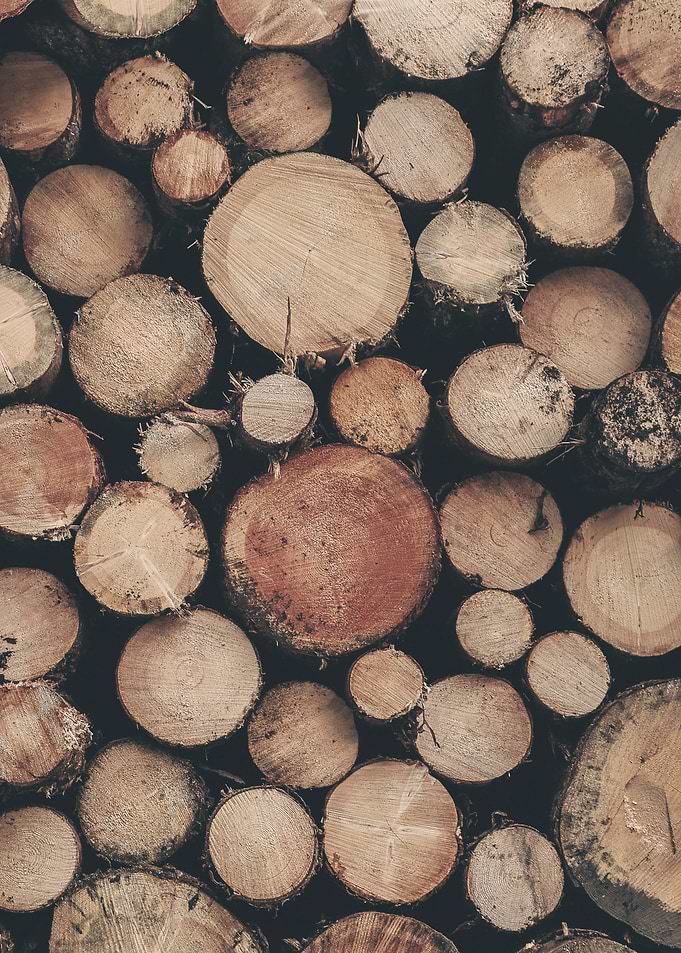 Dolomites, Italy I Stack of cut wood logs for a natural geometric round pattern with a rustic feel and cozy warmth of a farmhouse in the Italian countryside with a dark brown moody aesthetic