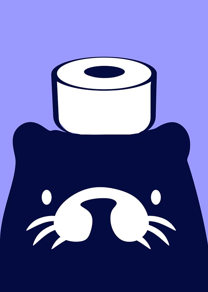 Otter with Toilet Paper Hat