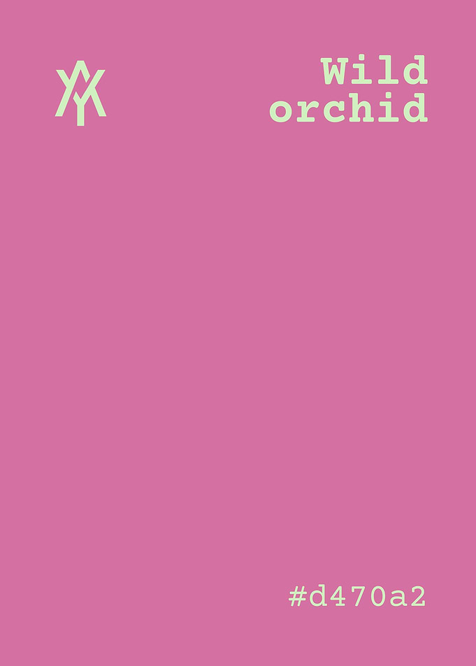 Wild Orchid Color Palette