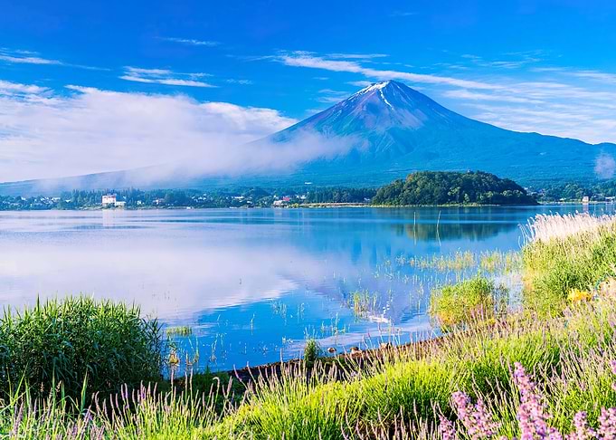 Mount Fuji Landscape