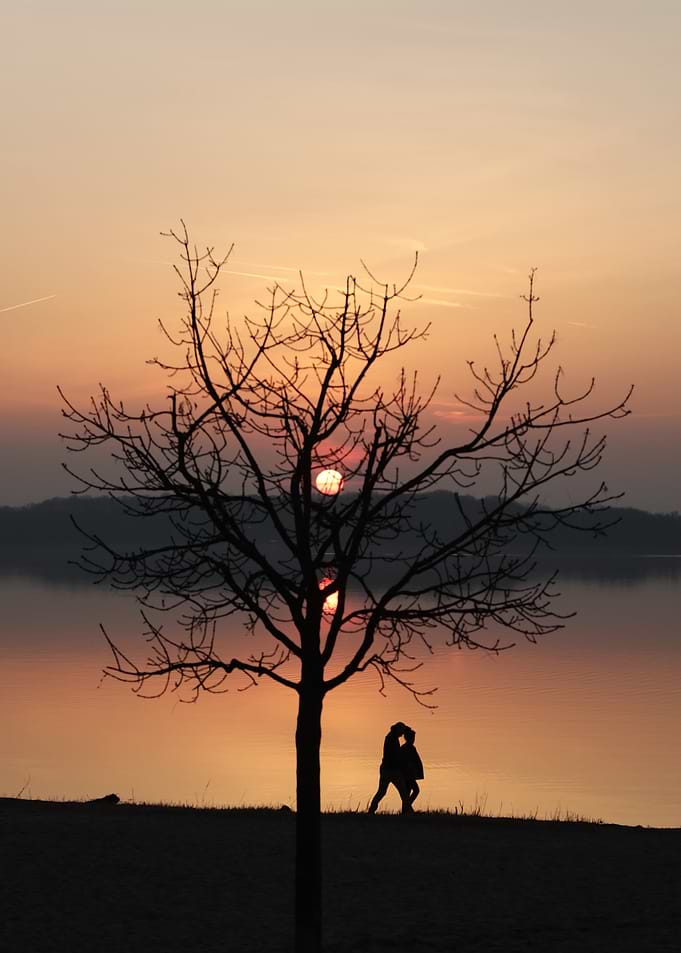 Silhouette Sunset