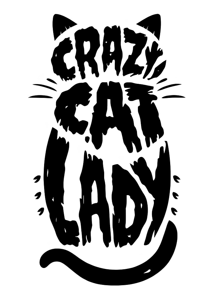 Crazy Cat Lady Design