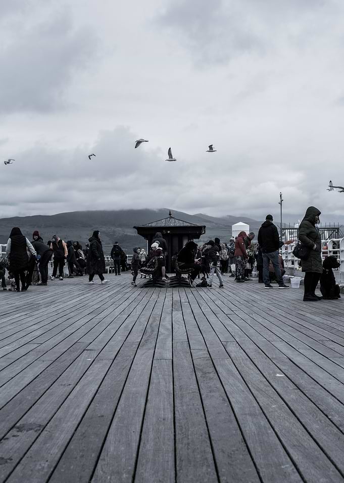 Seagulls Over Pier