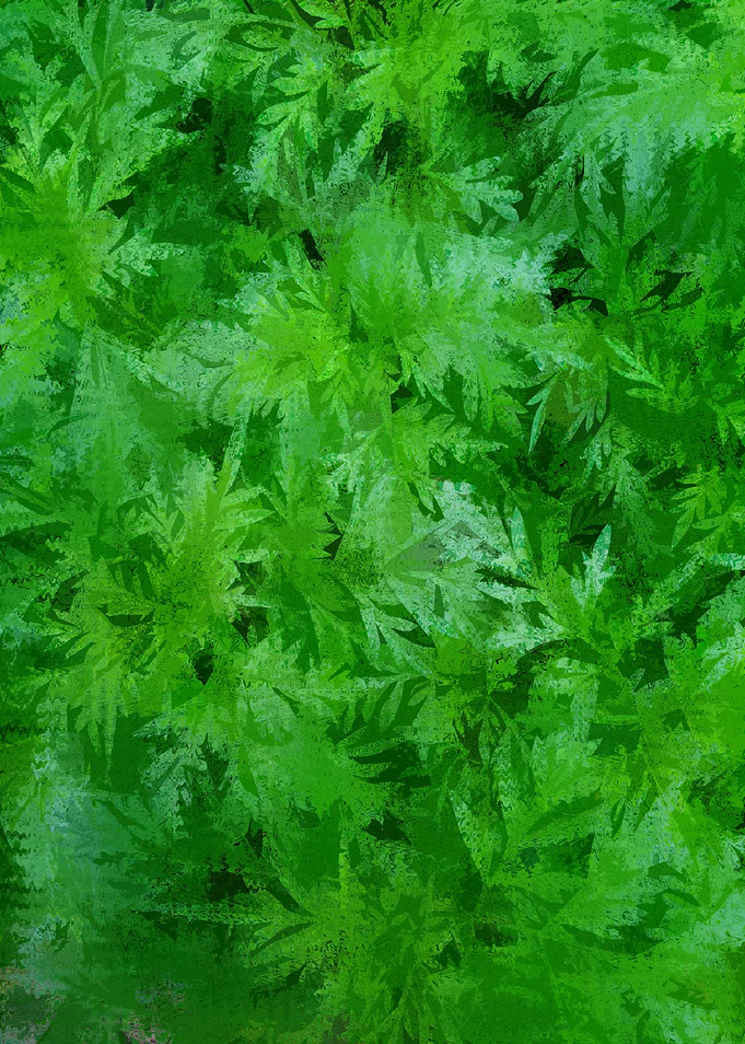 Green Leaf Pattern GJU9