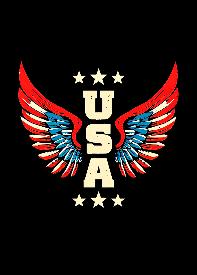 USA Wings Graphic