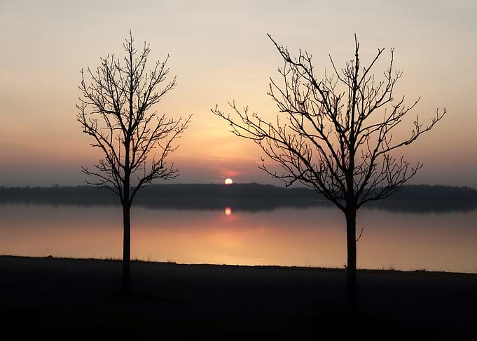 Sunset Silhouette