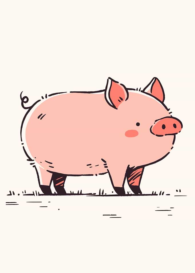 Cute Cartoon Pig