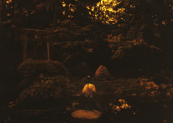 Spirit of the Shrine