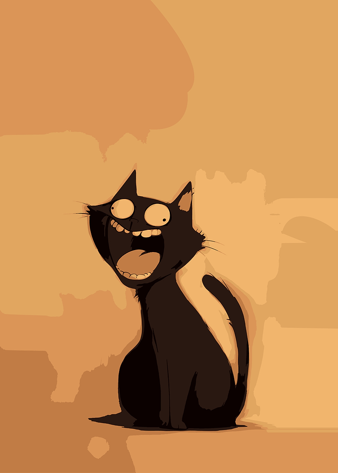 Hilarious Black Cat